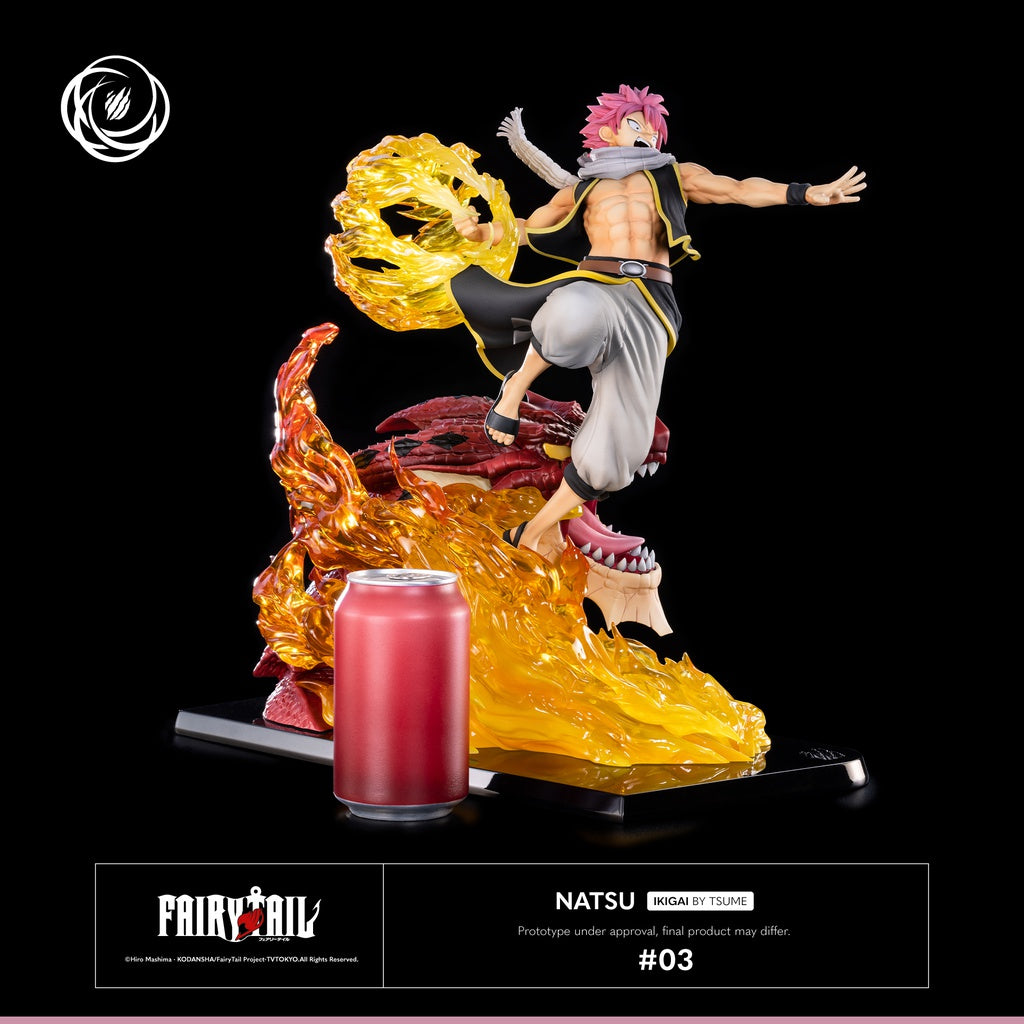 FAIRY TAIL  - Statue 1/6 Natsu IKIGAI / Tsume