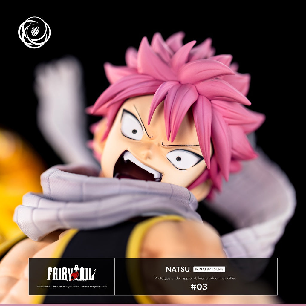 FAIRY TAIL  - Statue 1/6 Natsu IKIGAI / Tsume